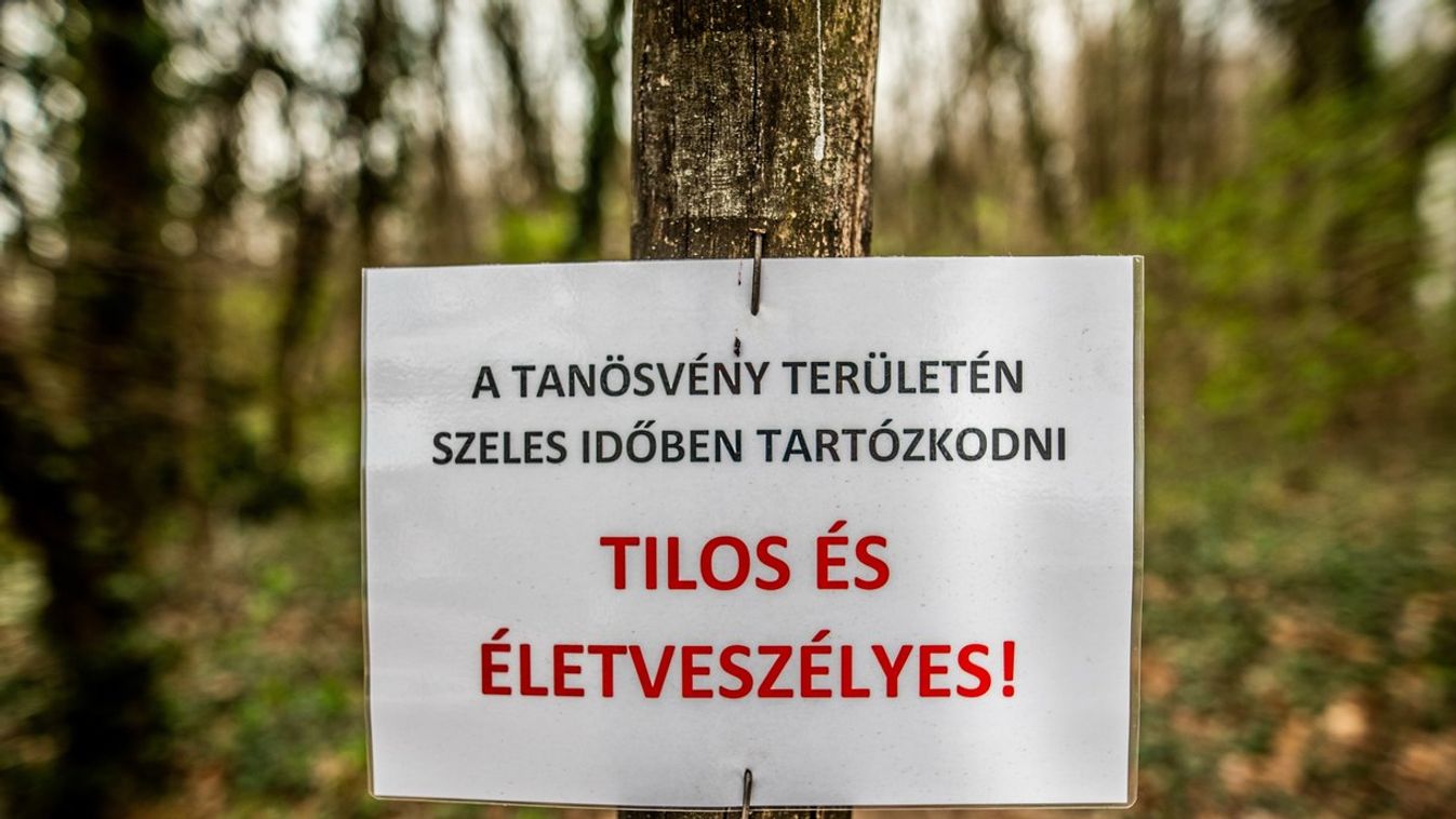 https://cdn.borsonline.hu/2019/08/OJigpDi2quBQomp6CN_5-Deqqcx0I_vyKqlXMiNagS0/fill/1347/758/no/1/aHR0cHM6Ly9jbXNjZG4uYXBwLmNvbnRlbnQucHJpdmF0ZS9jb250ZW50LzYyMWJjY2QwZDdmNDQ1YmM5NGEzODZlZTllMjc5YWE1.jpg