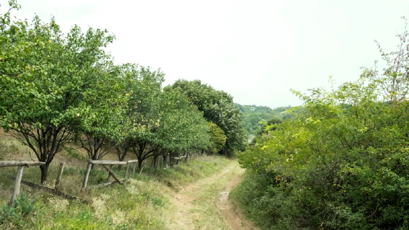 2 km hosszú egészségügyi ösvény épül a szerb fürdő közelében