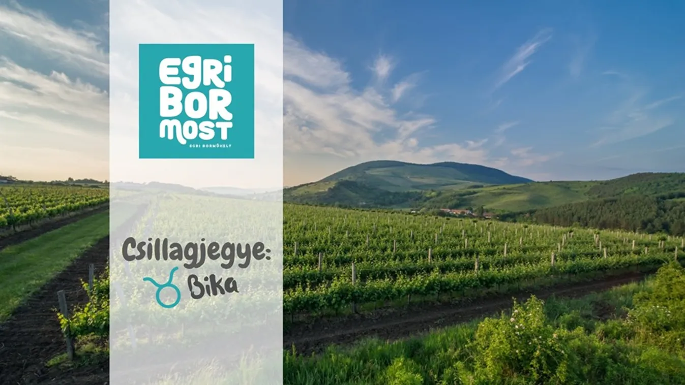 Bikák és csillagok találkoznak a Boregyetemen
