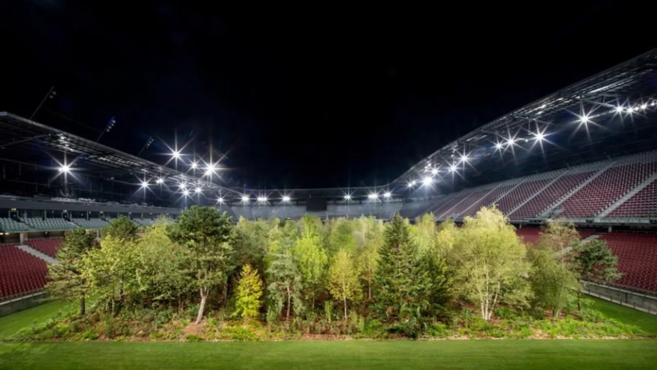 Futballstadion közepére telepített erdőt egy osztrák művész