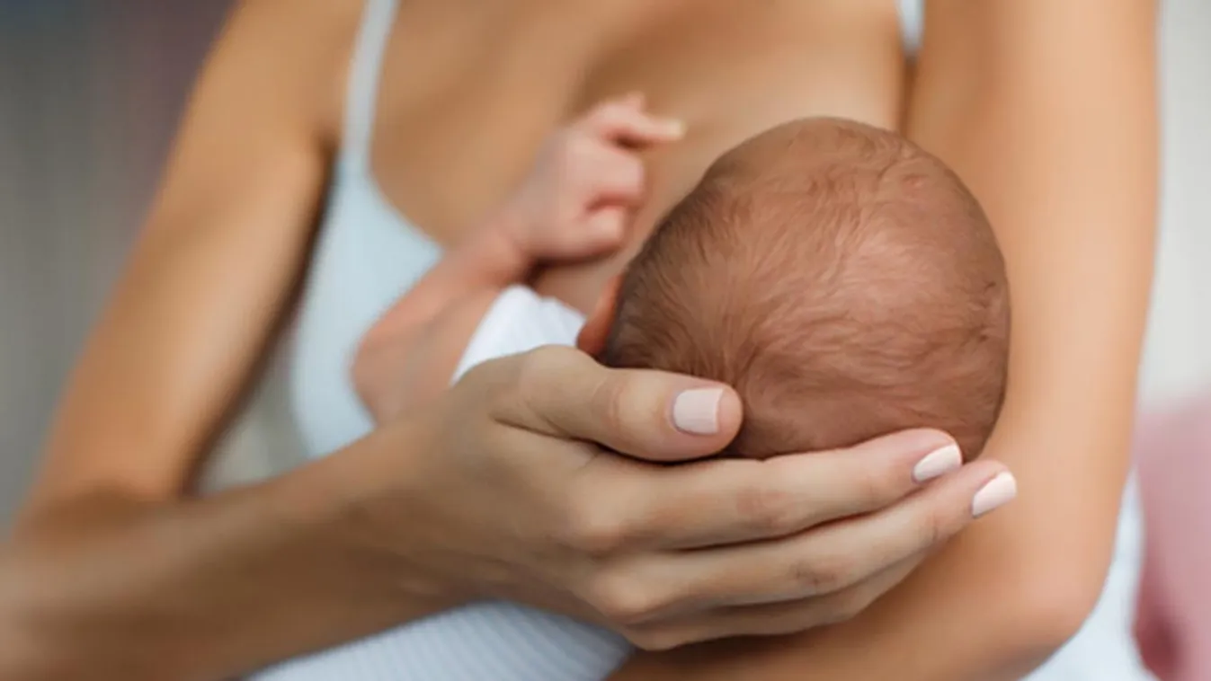 Laktációs tanácsadó: a hozzátáplálás és elválasztás szakértője