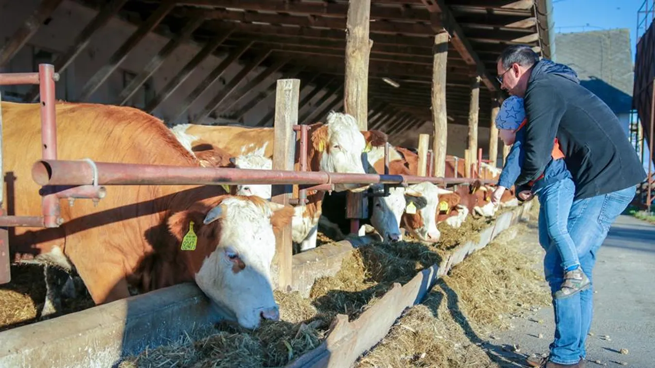 Ez a fesztivál marhajó ízekkel várja a gasztro-rajongókat