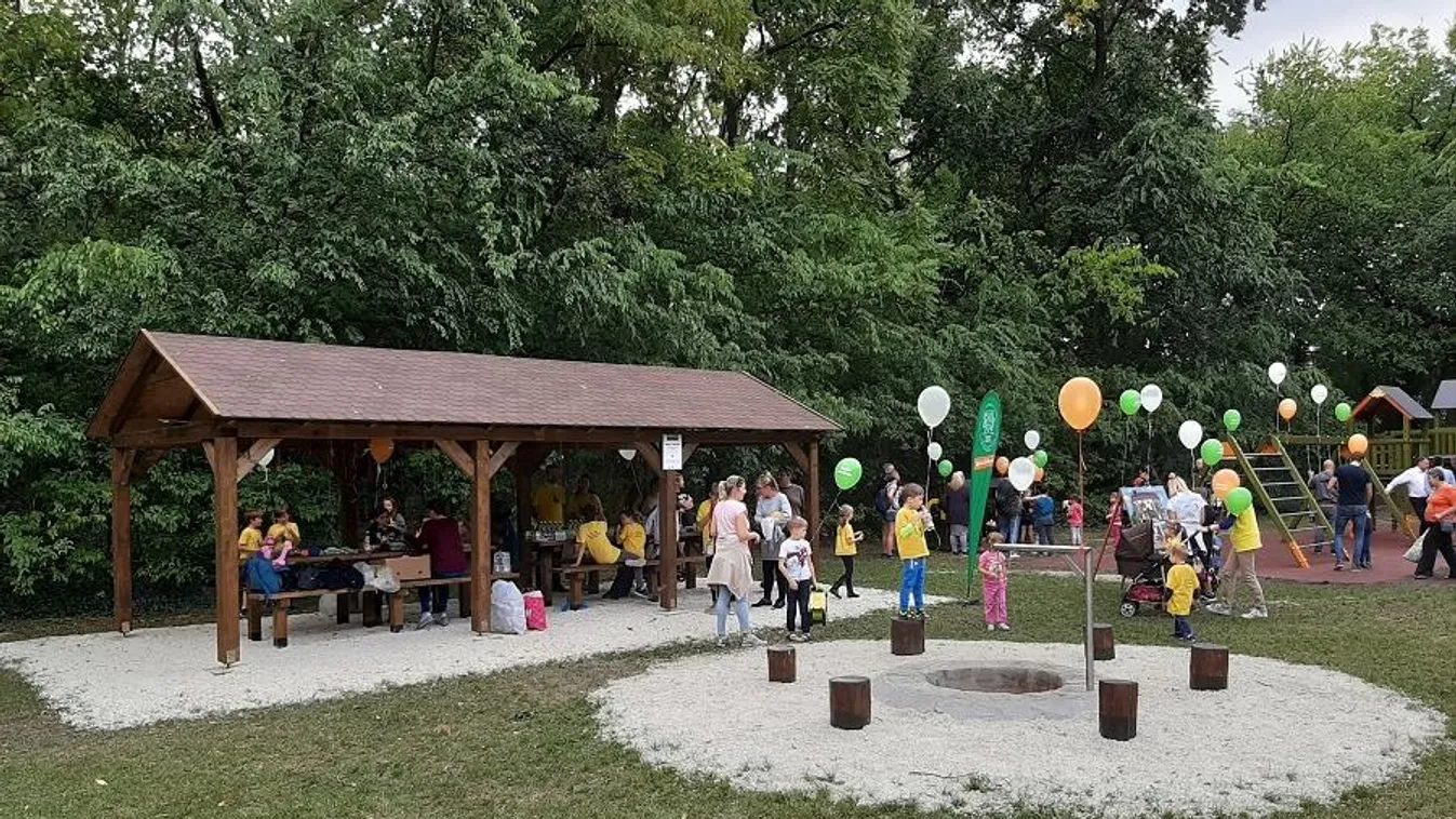 Kicsit újrafazonírozták a területet a Sashalmi-erdőben