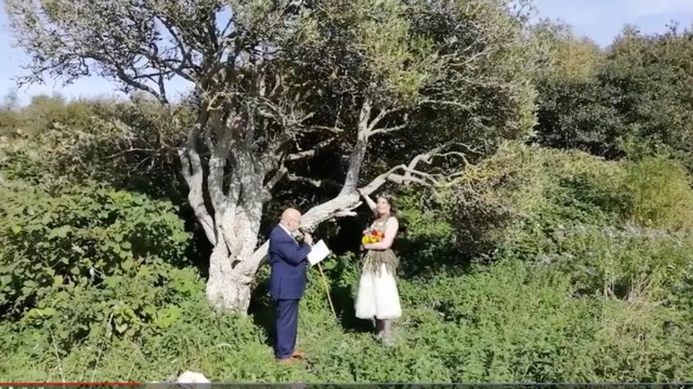Fához ment feleségül