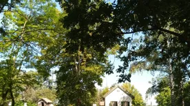 Induljon Matula bácsi nyomába a Kis-Balaton legszebb helyszínein!