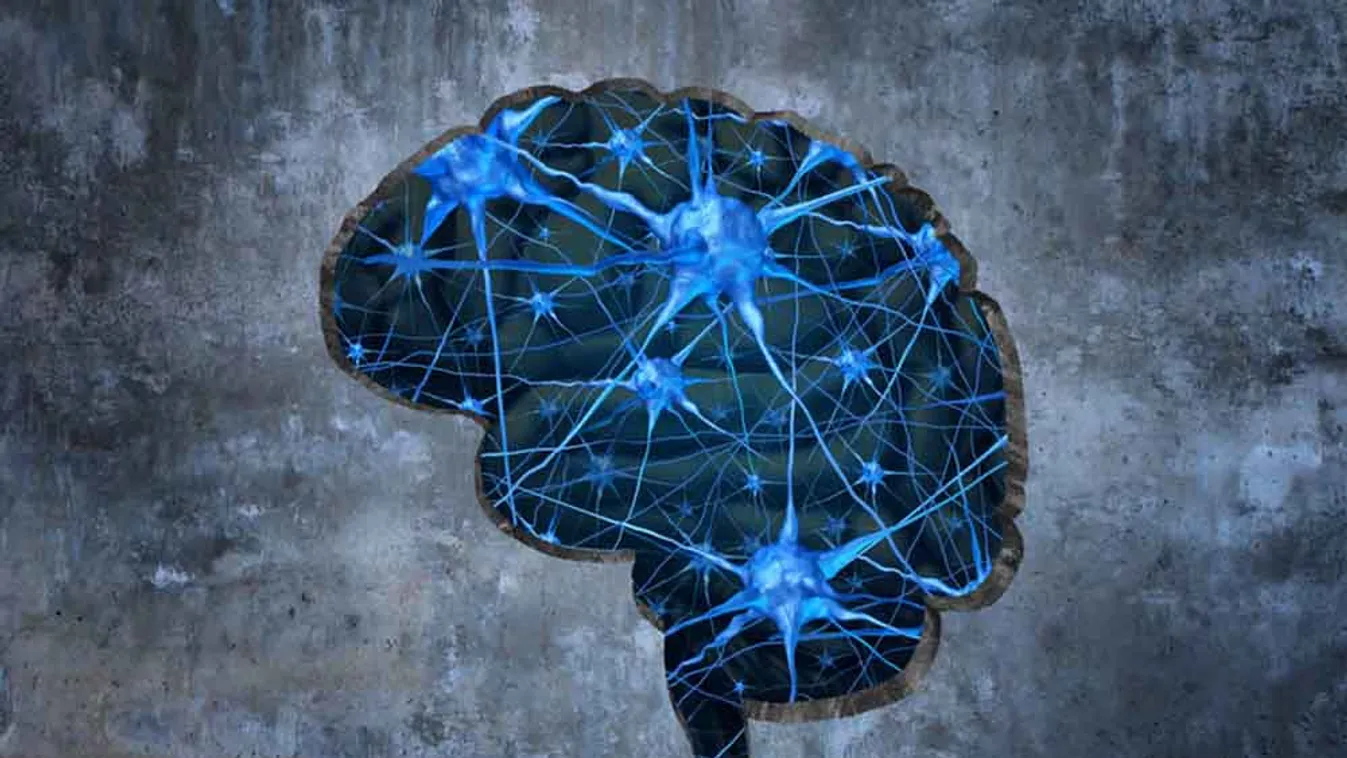 Fontos, hogy családügyi szempontból is vizsgáljuk az Alzheimer kórt