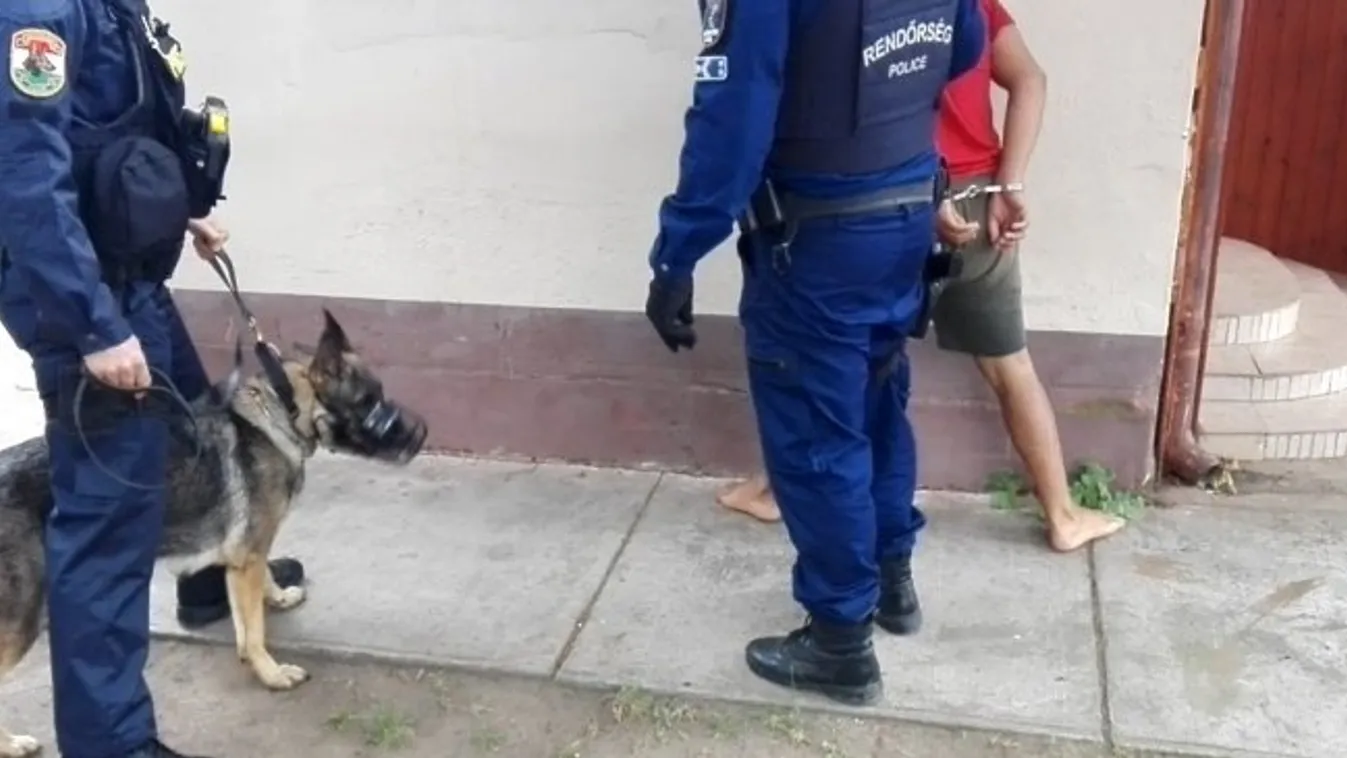 Öten őrizetben emberkereskedelem és kerítés gyanújával - videó