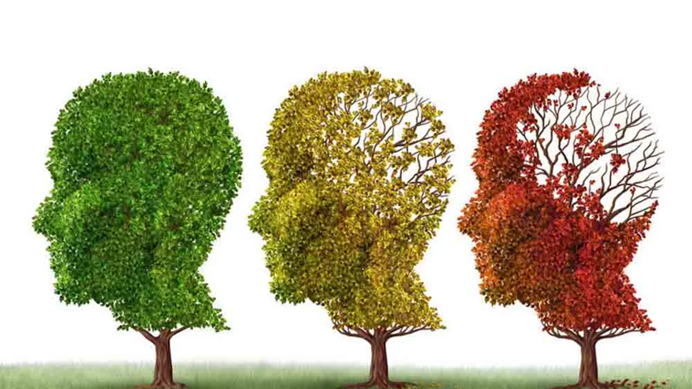 5 gyakori tévhit az alzheimer betegségről