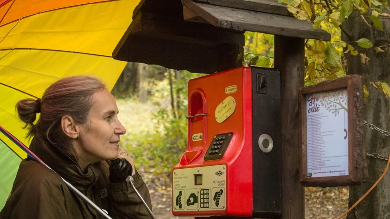 Verselő telefon vár a pilisi erdőben