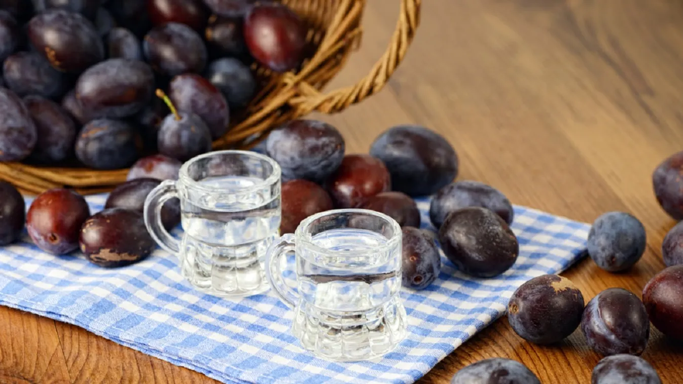 Pálinkabankot nyitottak a szerbek