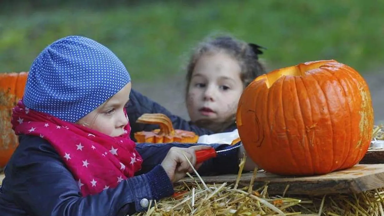 Szellemes halloweenre készülnek a Piczinke Póniudvarban