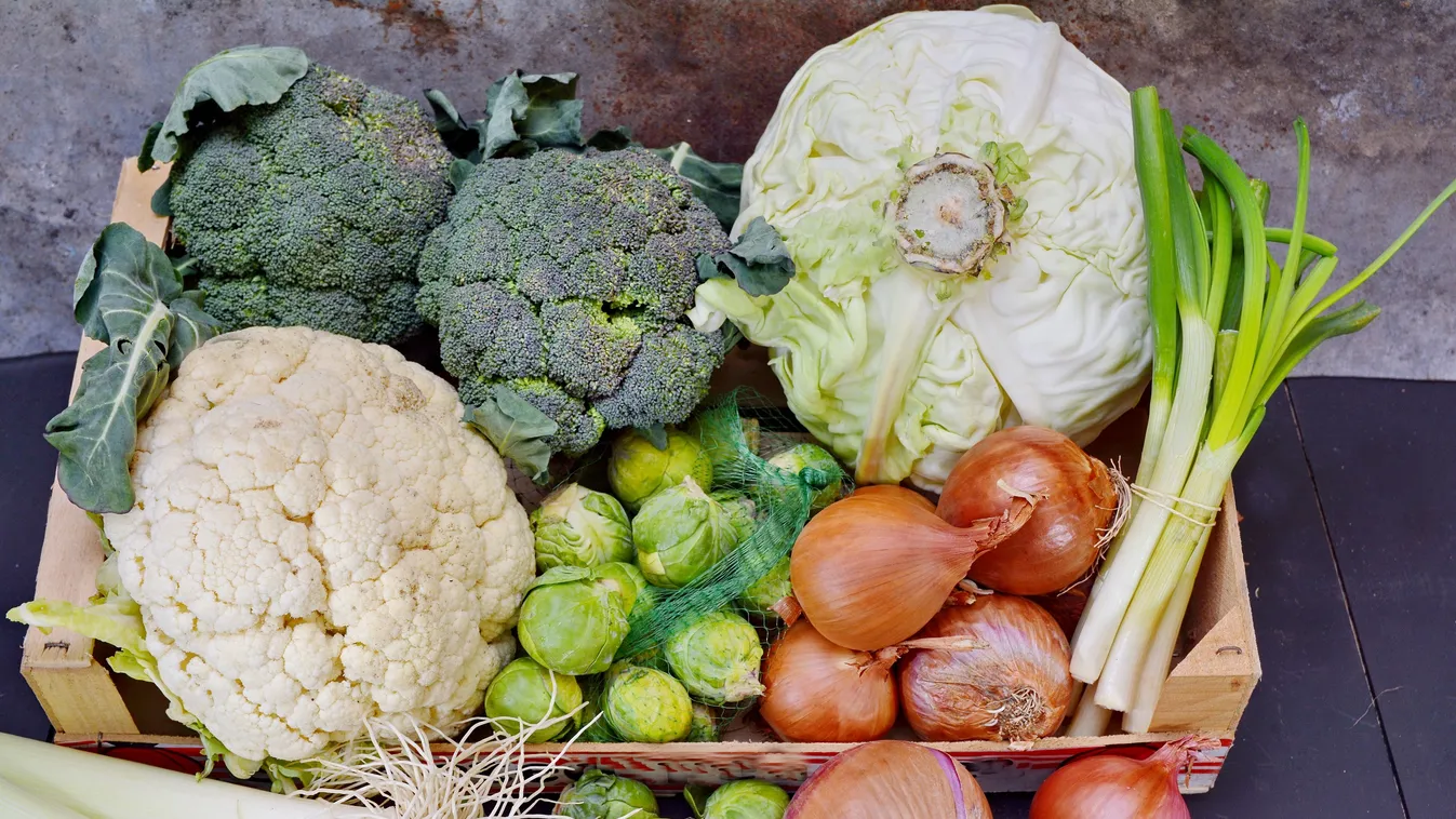 Szezonja van! Eljött a vitaminokkal teli káposzták ideje