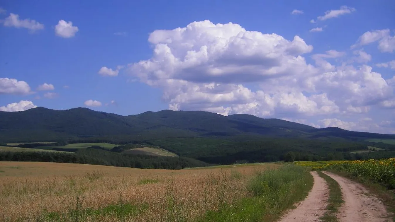 Pazar panorámájú túrán vehet részt a Börzsönyben