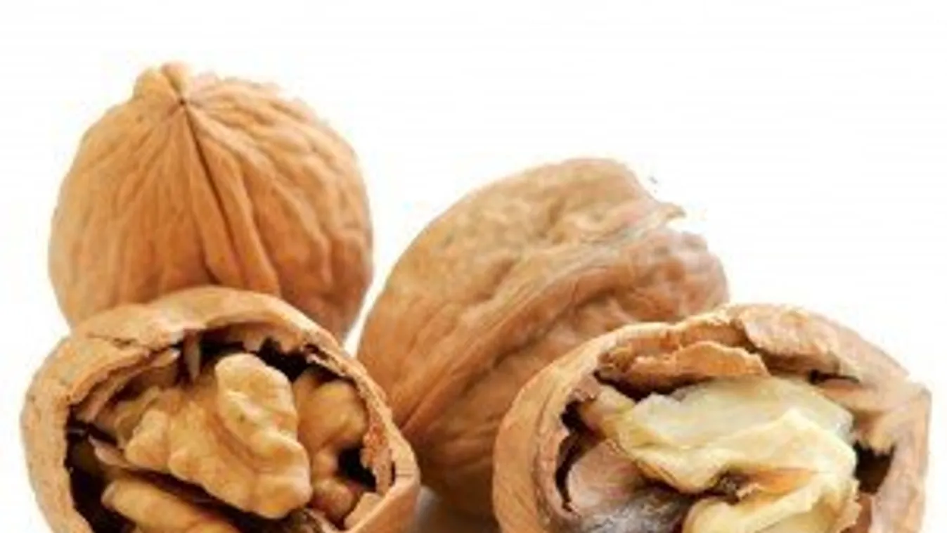 Dió – a szellemi frissesség őrzője