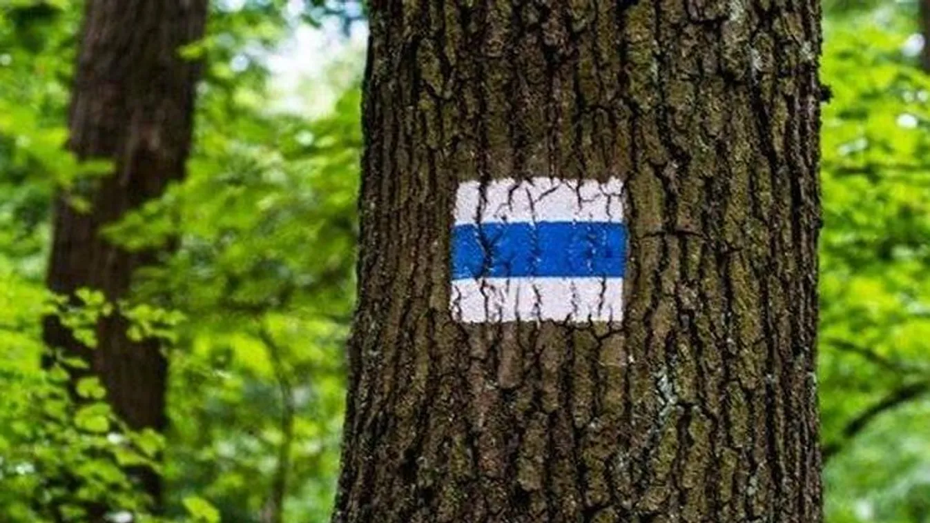 Iskolásoknak hirdetnek vetélkedőt a Kéktúráról