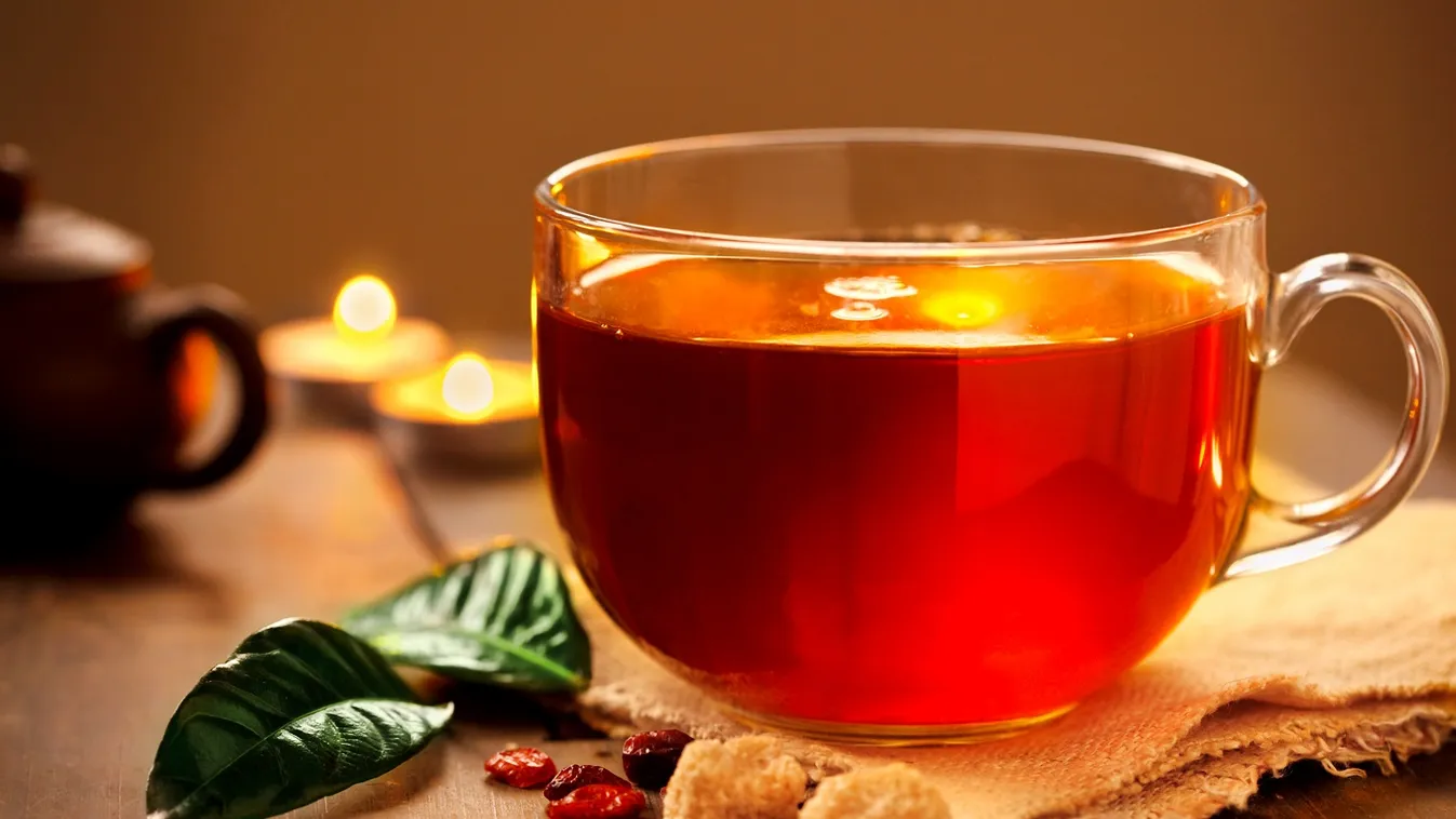 Az agy szerkezetére is jótékony hatással van a tea