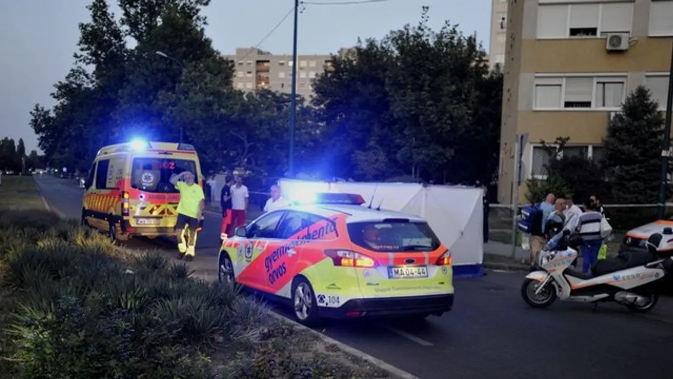 Kiderült, mennyivel ment a sofőr, aki elütötte L.L. Junior kisfiát