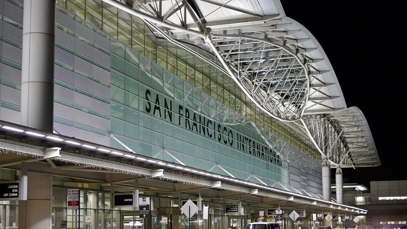 Terápiás malac fogadja az utazókat San Francisco repülőterén