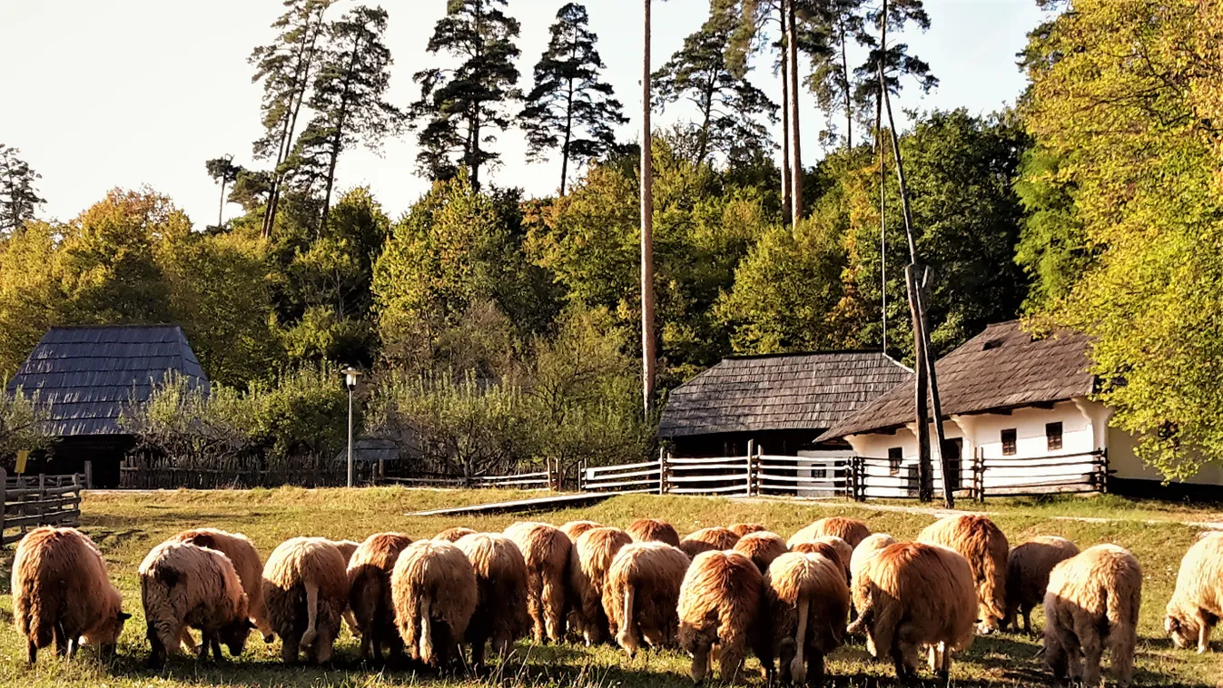 Európa legnagyobb skanzenjéhez induljon kelet felé!