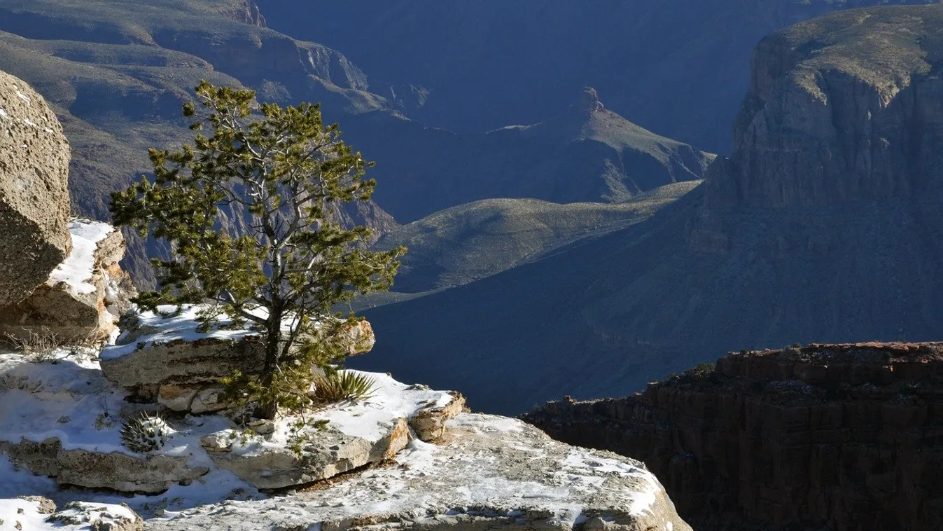 Óvatlan túrázók képével riogat a Grand Canyon Nemzeti Park