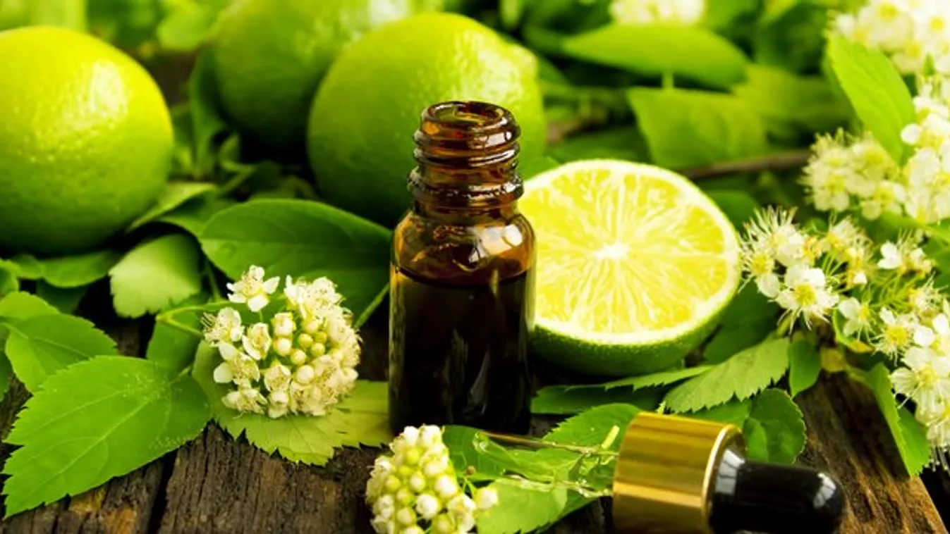Lime az őszi vitaminbomba