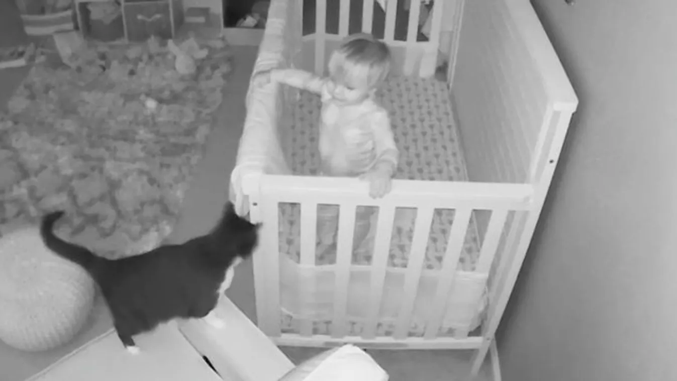 Cuki jelenetet rögzített a babafigyelő kamera
