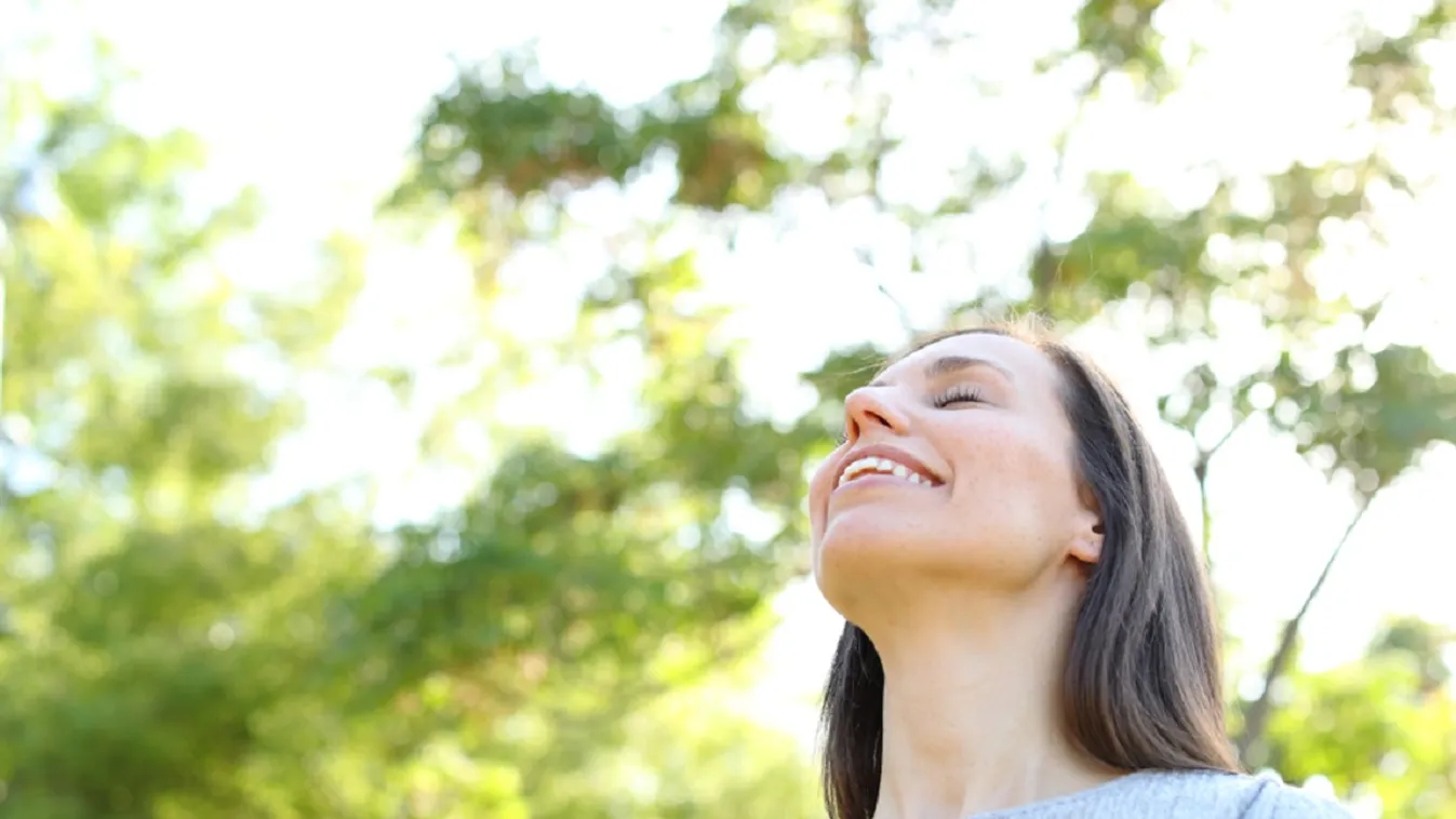 Nádból és fából készülnek az erdő mélyi wellness házikói