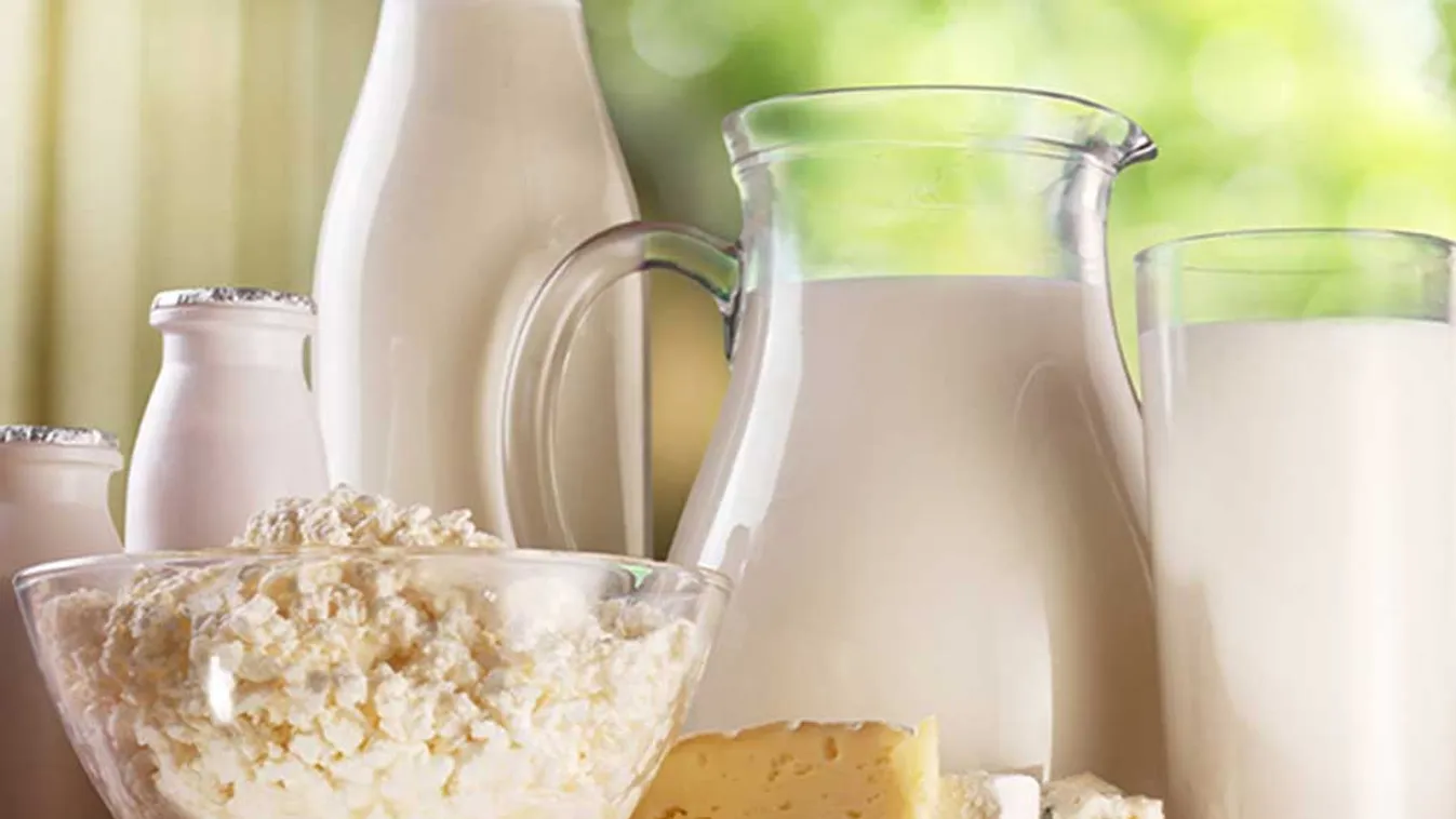 A tej és a tejtermékek szerepe a kiegyensúlyozott táplálkozásban