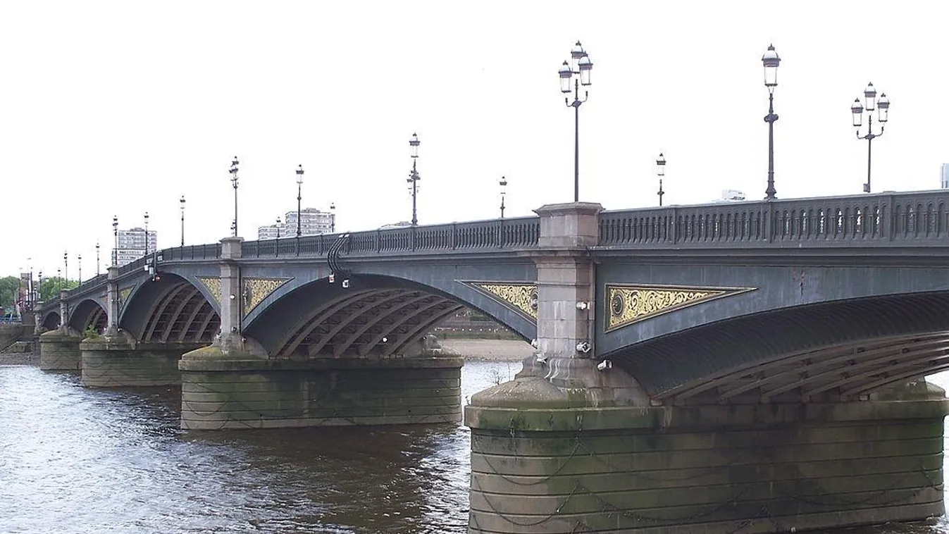 Elpusztult bálnát vetett partra a víz Londonban