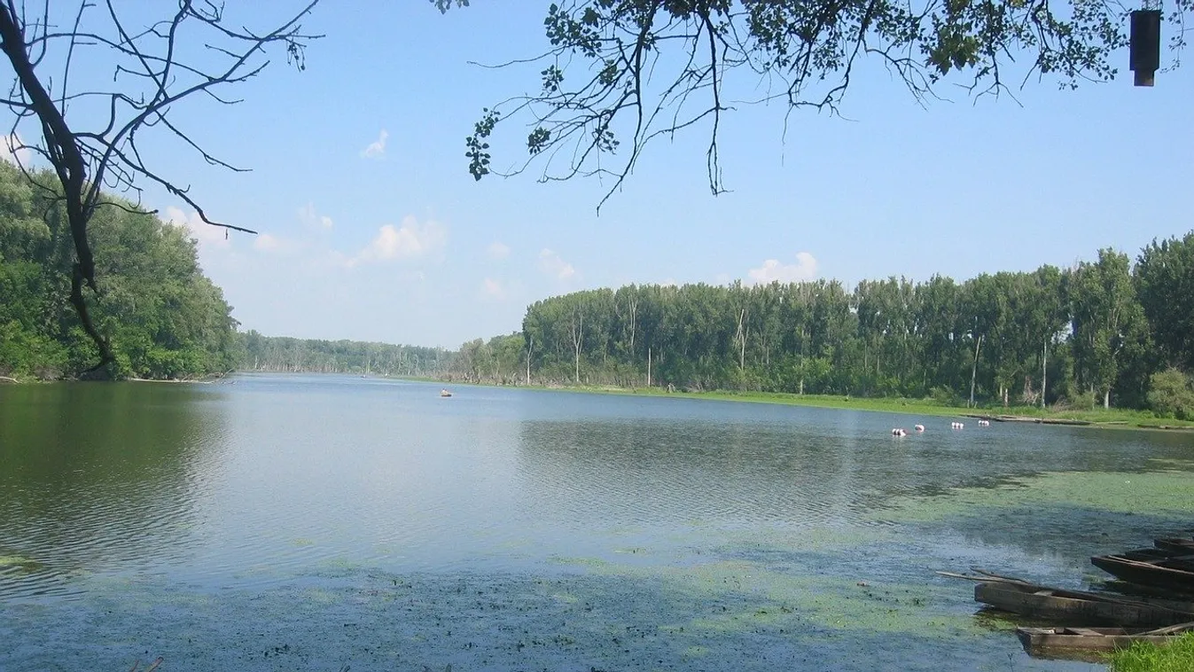 Mobil appal és kézikönyvvel népszerűsítik a Tisza-partot
