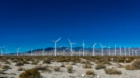 Megnyílt Afrika legnagyobb szélerőmű-parkja