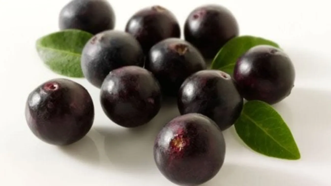 Acai bogyó – a téli immunerősítő