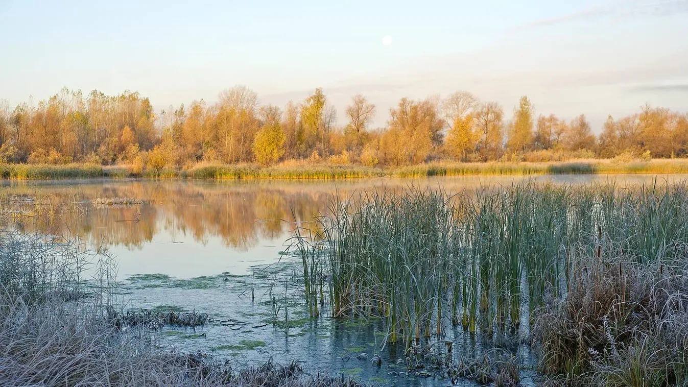 Izgalmas, vízben gázolós, csendterápiás túrán figyelhetik meg az állatokat
