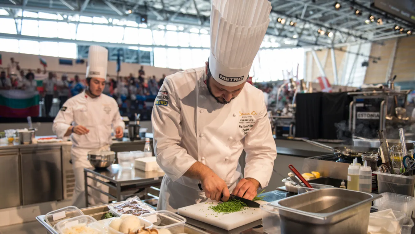 Nemsokára kiderül mely zöldségek kerülhetnek a Bocuse dOr döntősök asztalára
