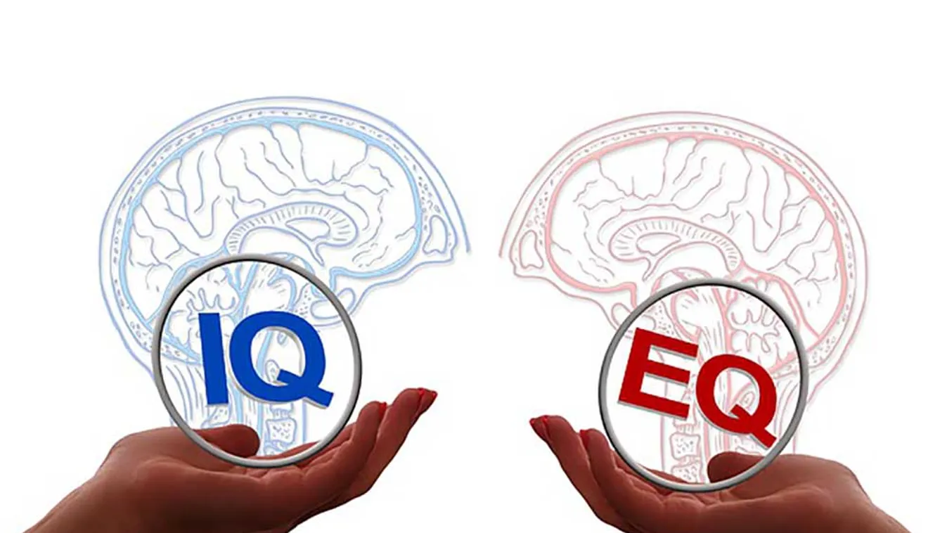 Videó - Kisebb lesz annak az IQ-ja, aki nem eszik húst?