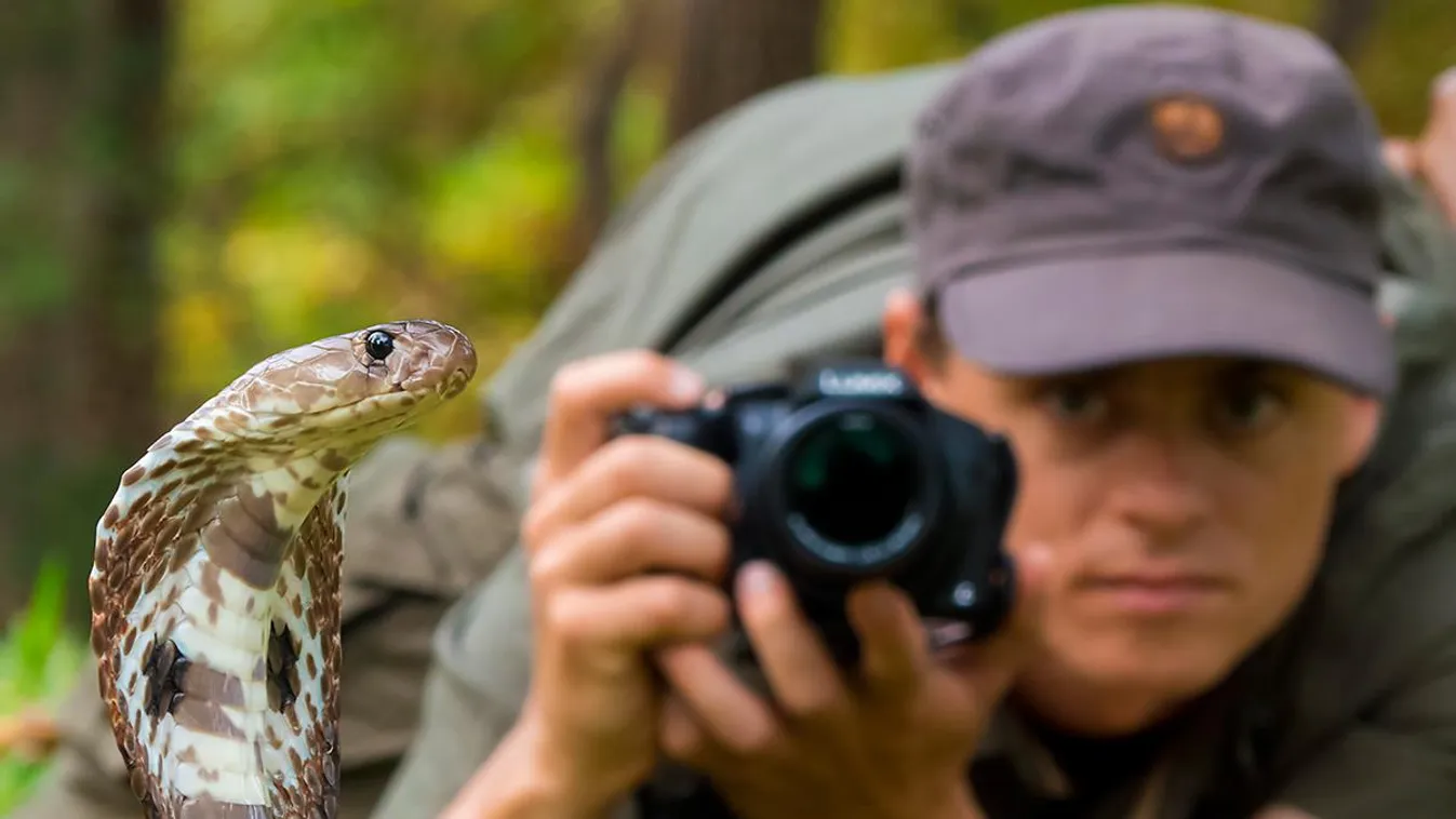 Ez egy szuper program a természet és a fotózás rajongóinak