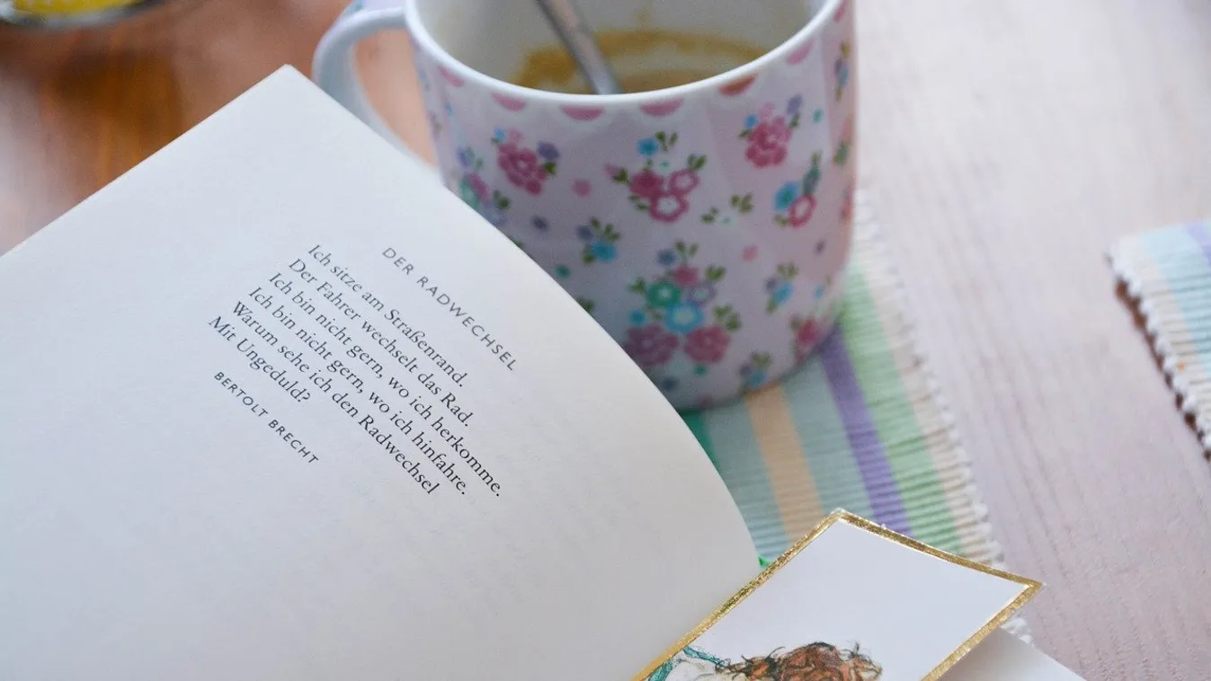 Mutatjuk, hol olvashat könyveket ingyenesen a neten
