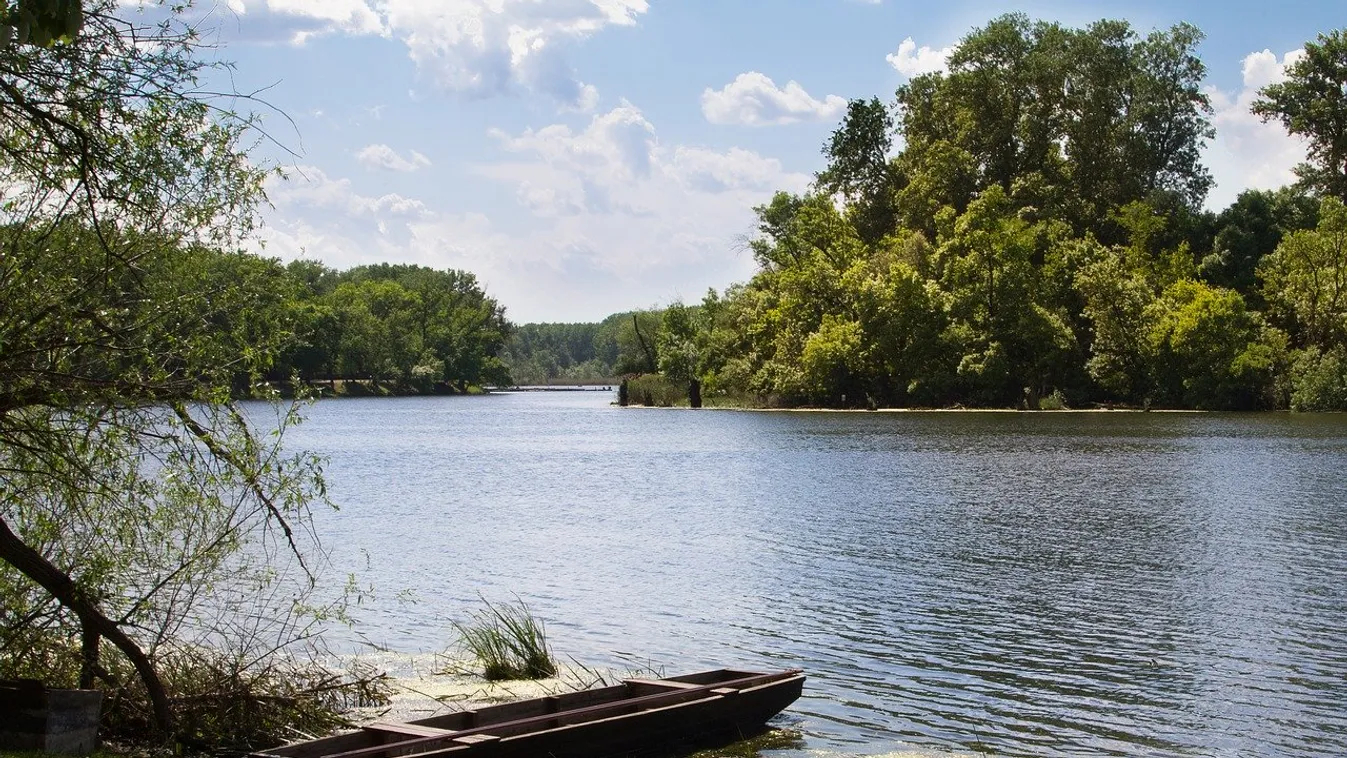 Nyolc méter magasan épül lombkorona-sétány a Tisza-parton