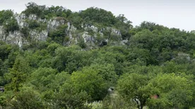 Túrázzon egyet a kardfogú tigris barlangjában!