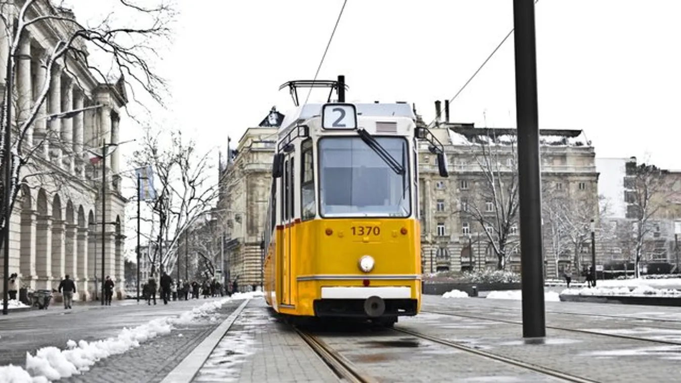 Rejtélyes darabok – Villamosajtók borítják az erdőt