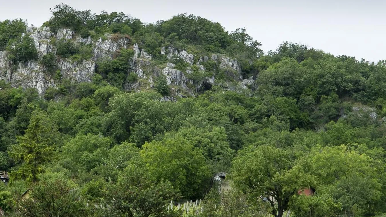 Túrázzon egyet a kardfogú tigris barlangjában!