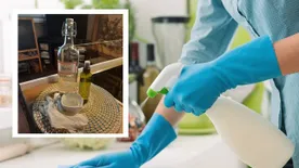 Házi praktikák bolti fertőtlenítőszerek helyett – Az erős pálinka megöli a vírust