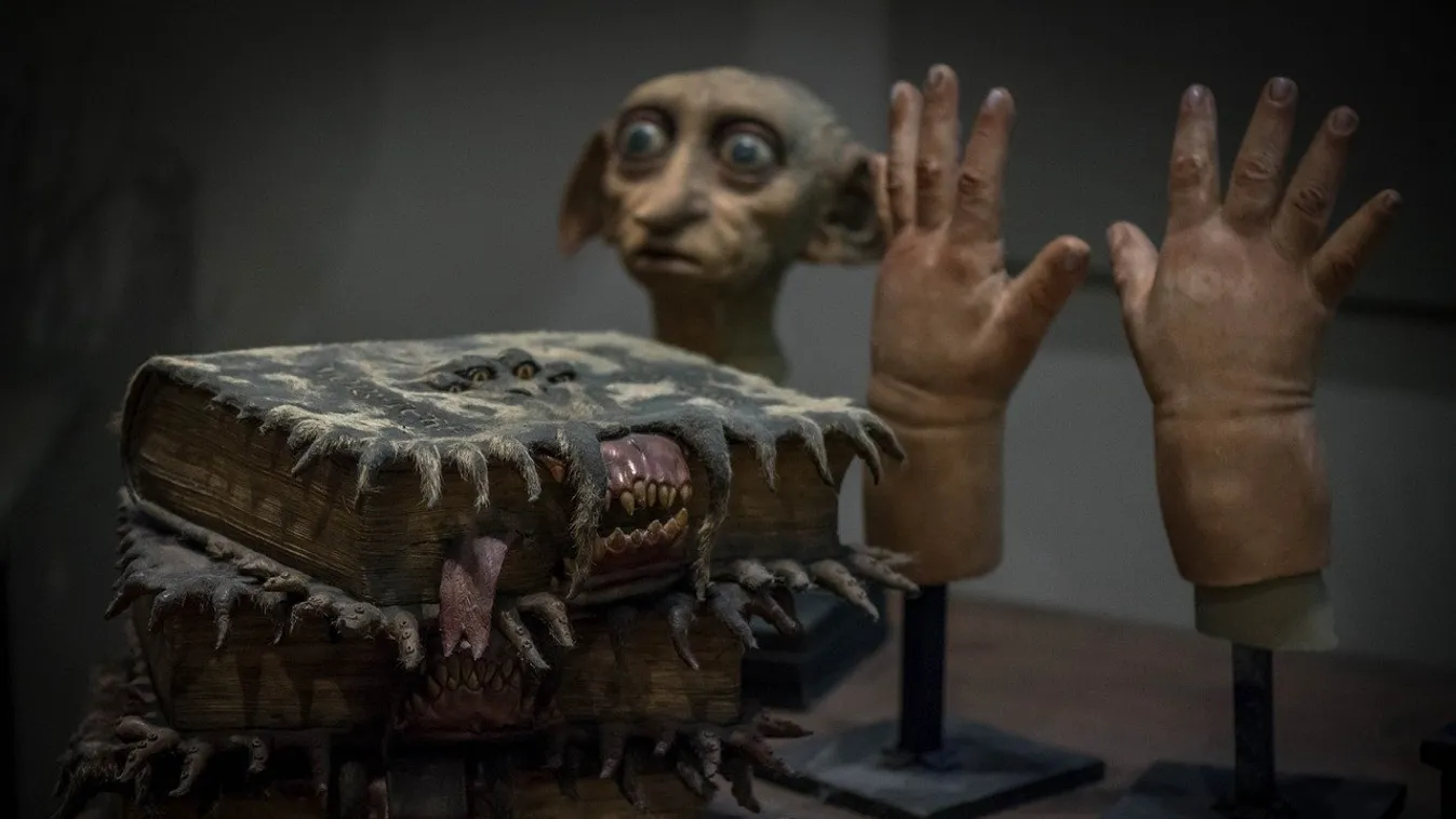 A Harry Potter-rajongók most kedvencükkel együtt vehetnek részt egy szédítő utazáson