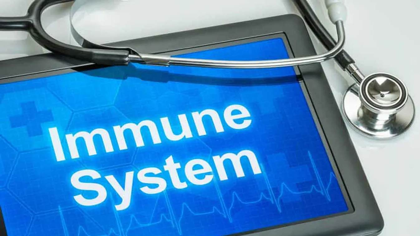 Az erős immunrendszer 5 meghatározó összetevője