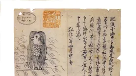 Világszerte hódít a ronda, de segítőkész járványűző sellő