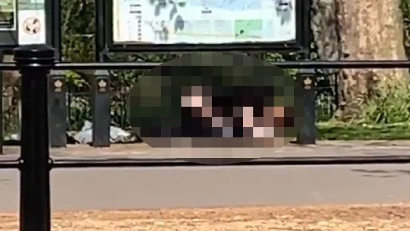 Fényes nappal, a Buckingham-palota kapujától pár méterre szexelt egy párocska - 18+ videó