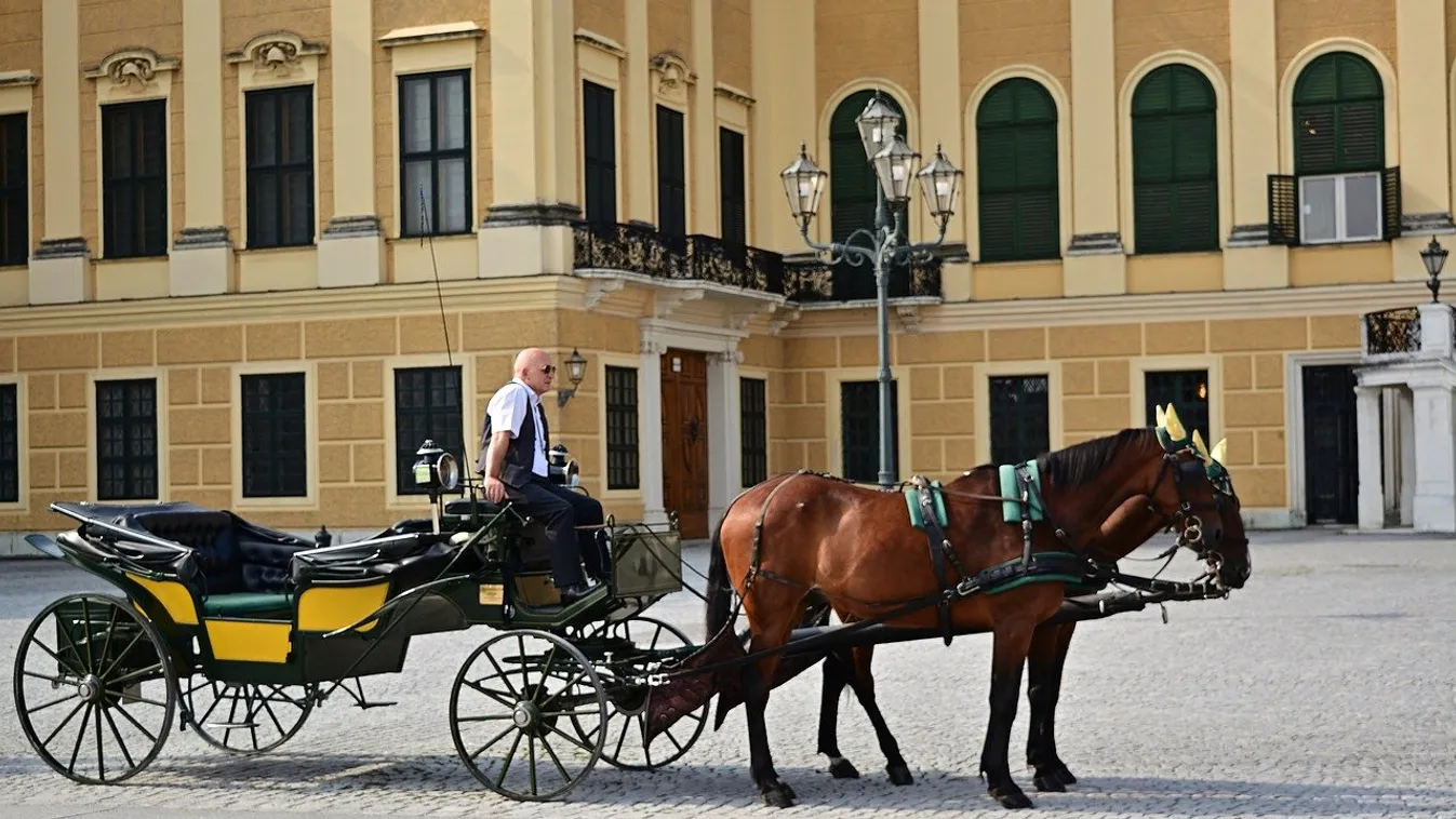 Turisták hiányában ételt szállítanak időseknek bécsi fiákerek