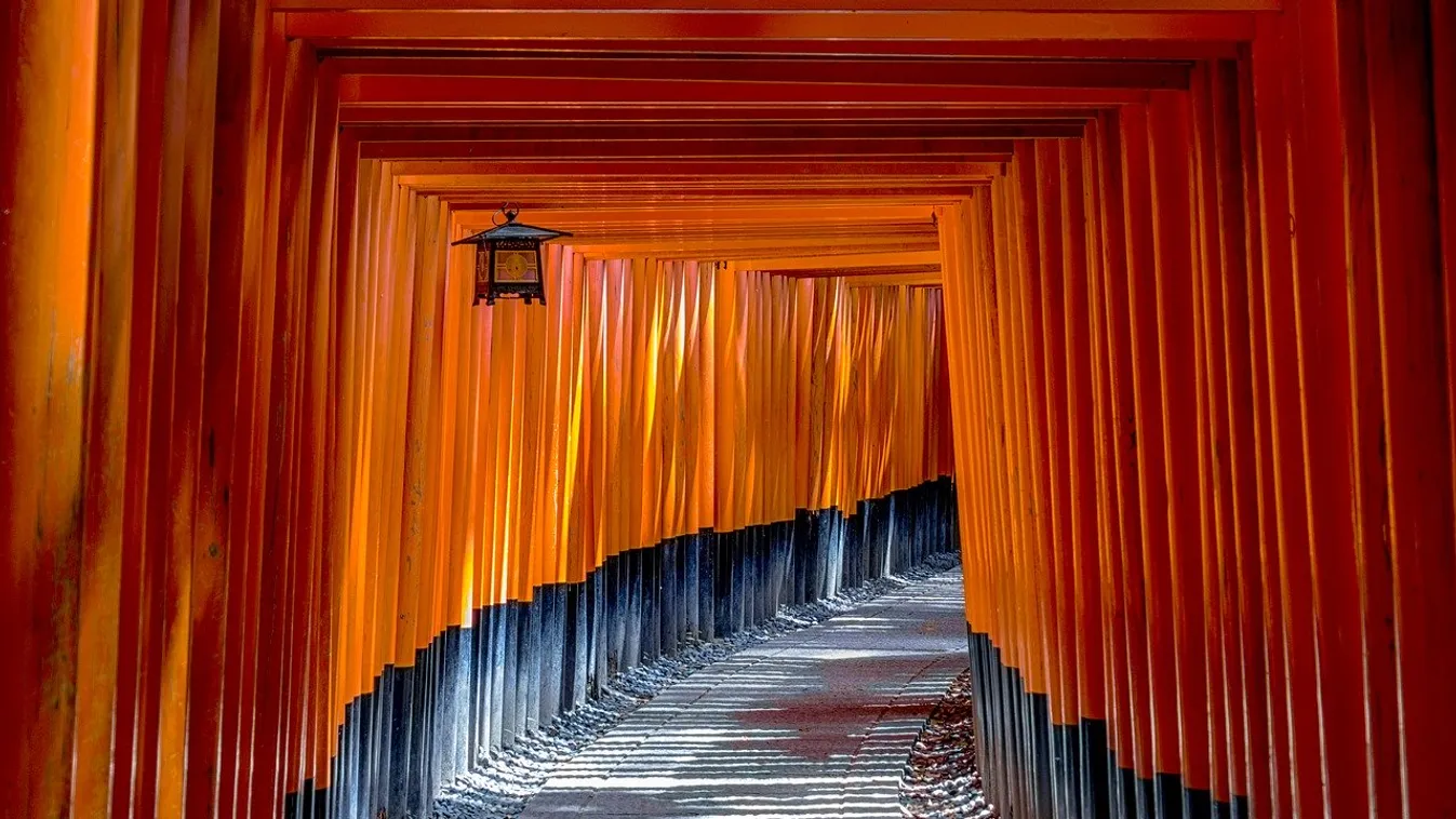 Lehet, hogy Japán is fizet az odautazóknak