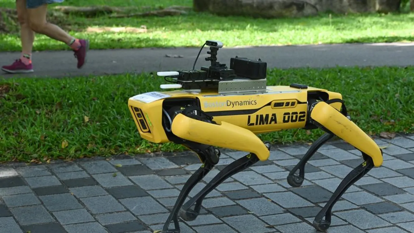 Robotkutya őrködik a szingapúri parkok rendje felett