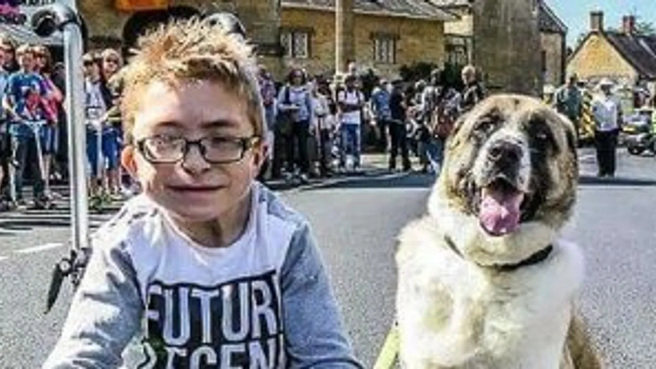 Elszakította a koronavírus a mozgáskorlátozott kisfiút a háromlábú kutyájától – videó